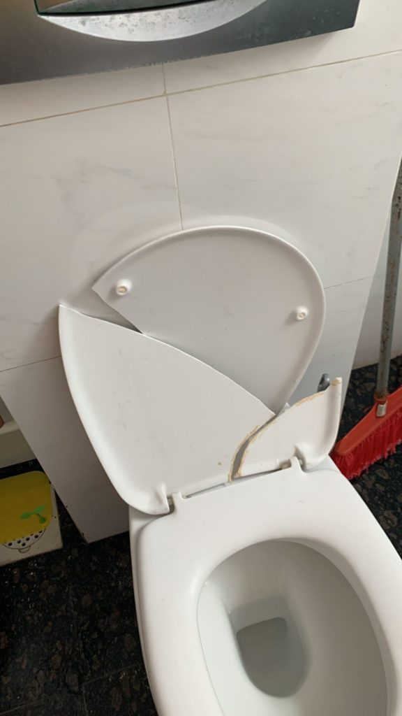 First time seen a toilet bowl cover can crack...
