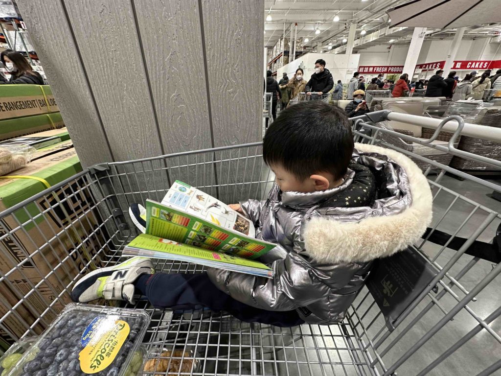 Enjoying the dinosaur book in crowded costco...