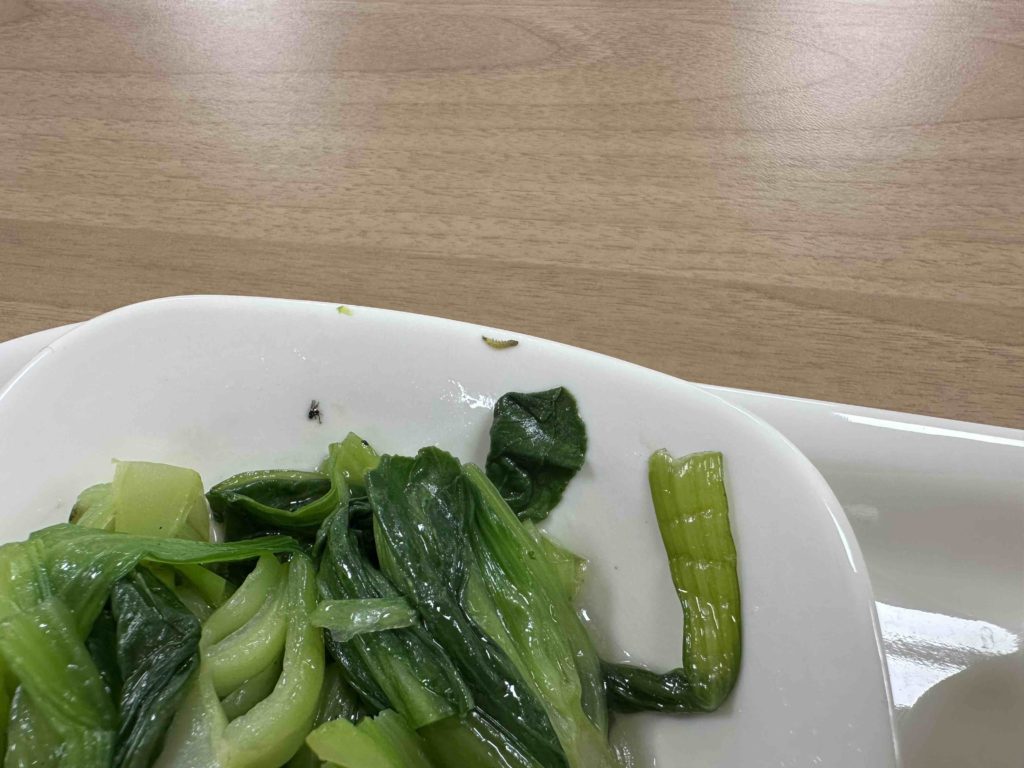 Found the worm in the vegetables! Army trained so nevermind...