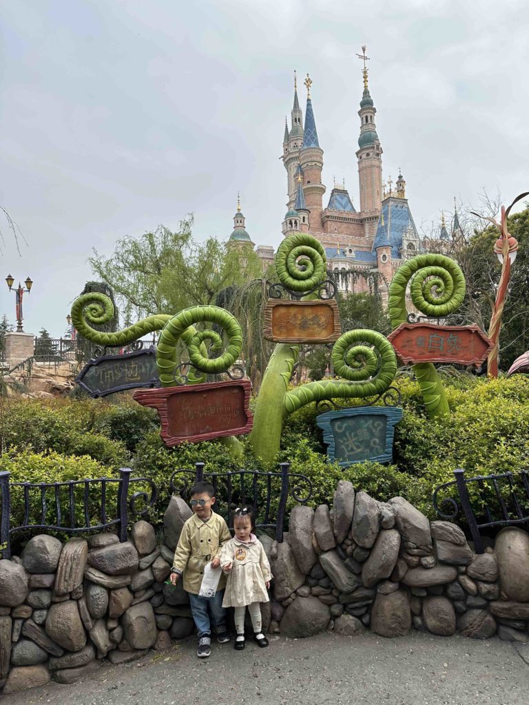 Love the maze at Disneyland!