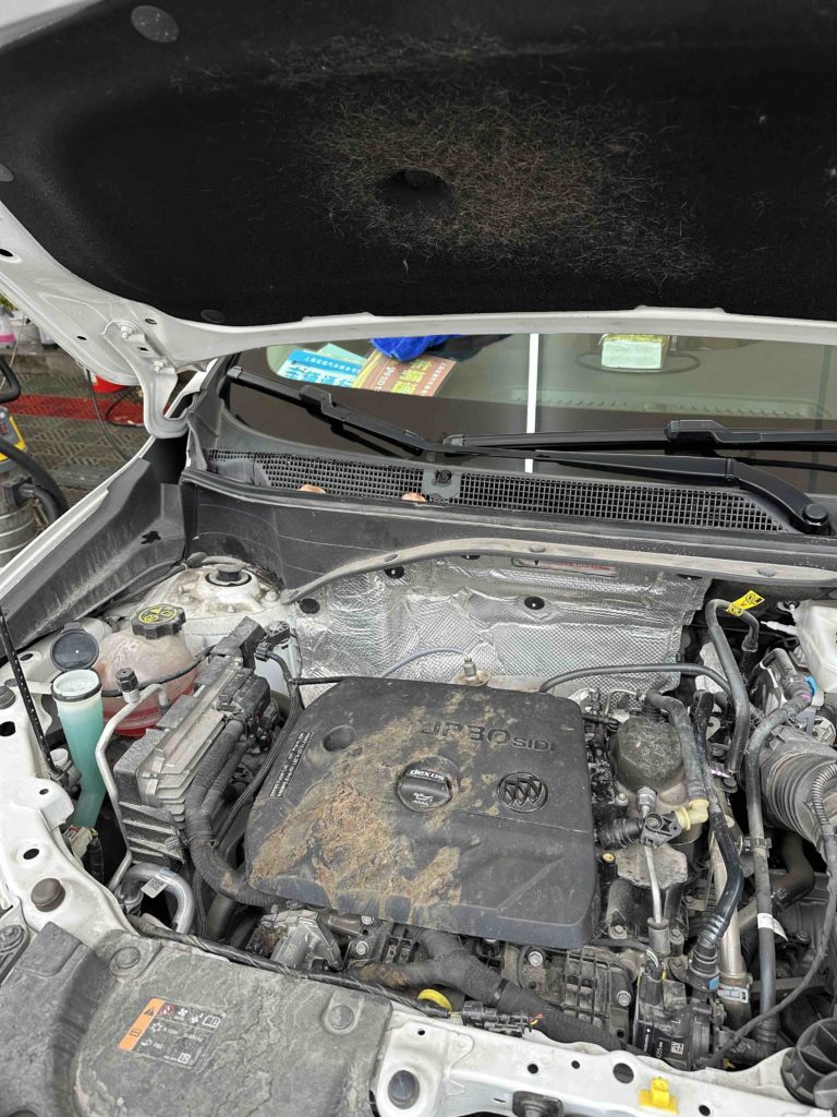 Wow I realised a cat can get in a car engine and cause so much shit and smelly...