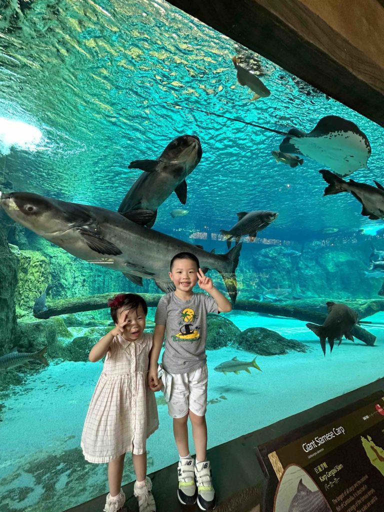 At River Safari with Giant Catfish and Sting Rays of Mekong River!