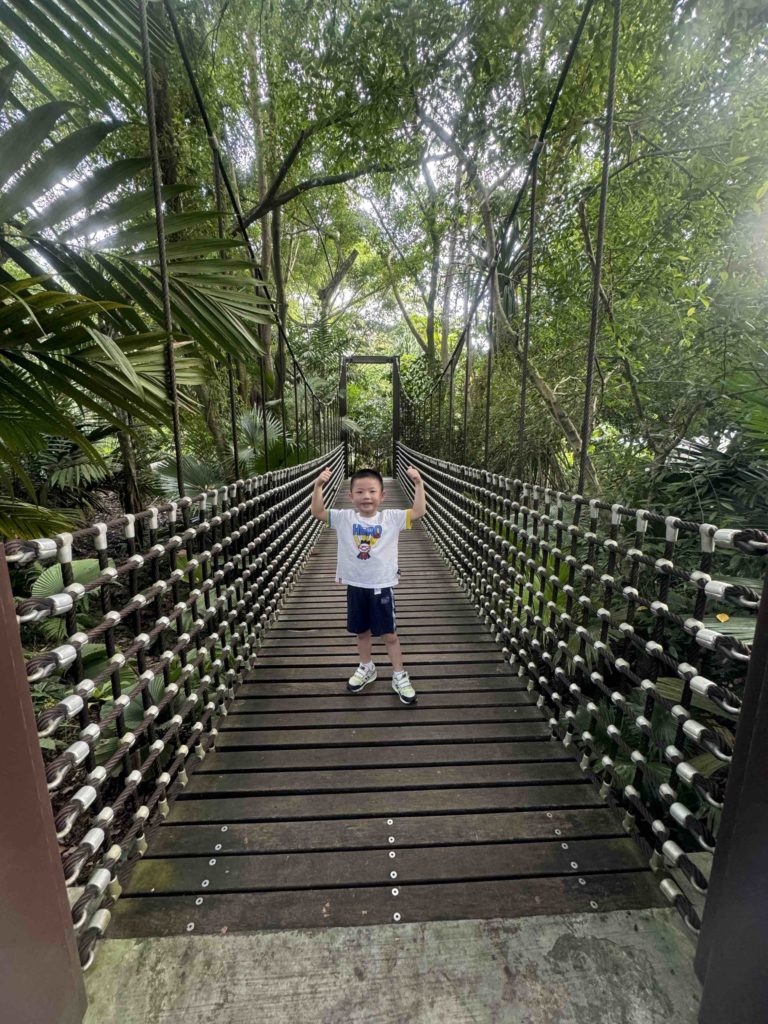 Suspension Bridge at Botanical Gardens, Jacob Ballas Children Garden
