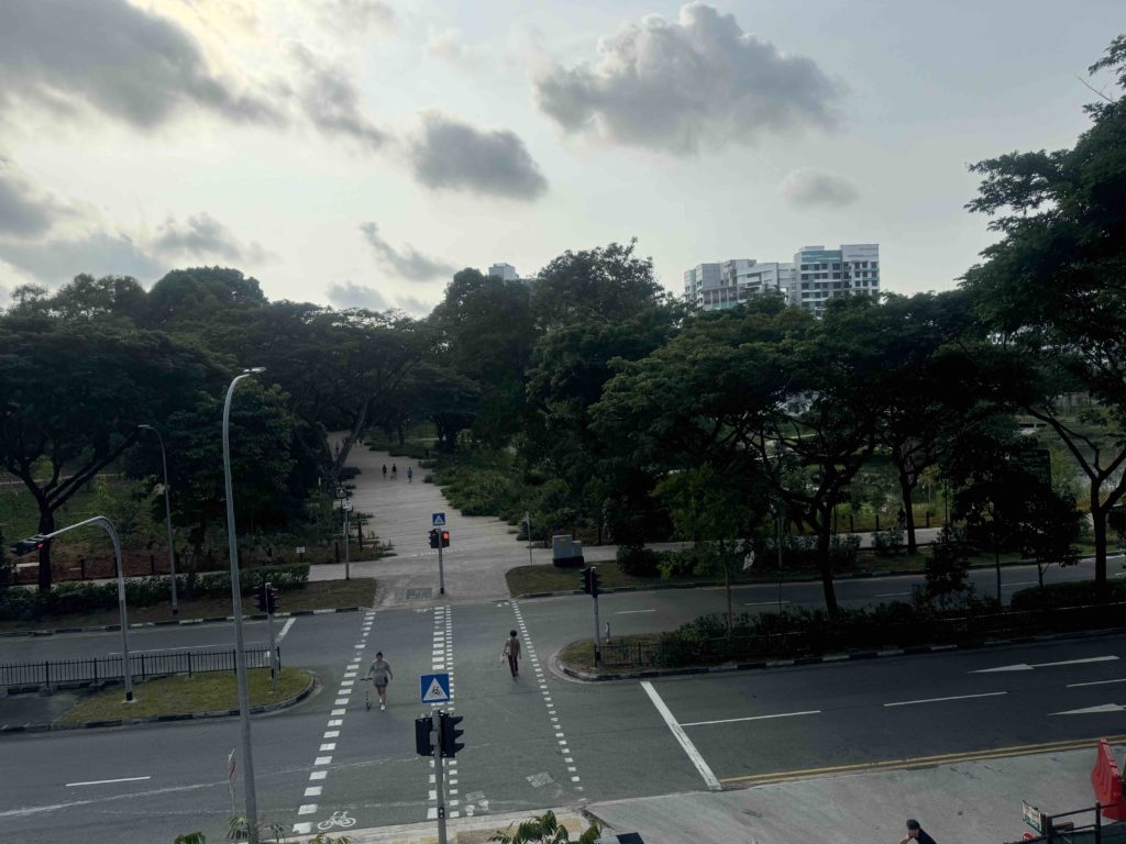 Nice view of the park!