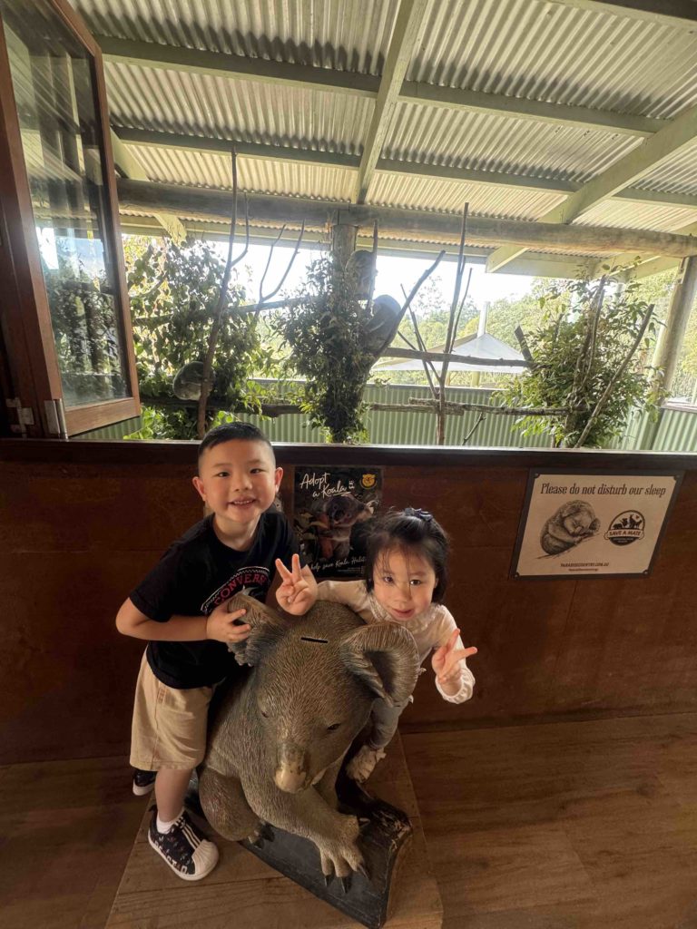 At Paradise Country! Checking out Koalas!