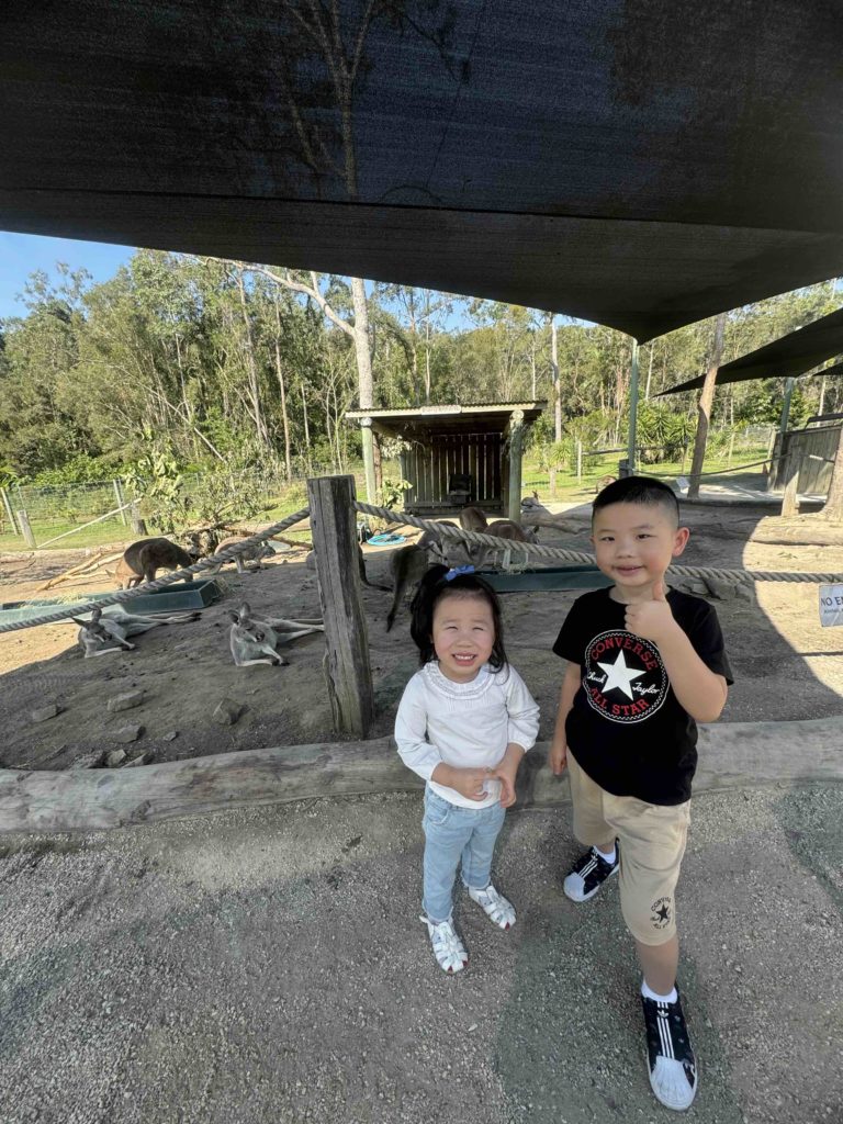 At Paradise Country! Checking out Kangaroos!