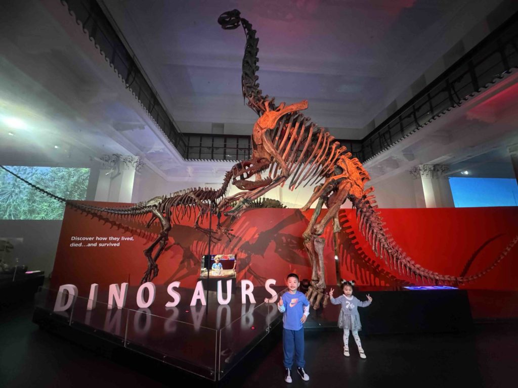 Checking out the Australian Museum! Dinosaurs!