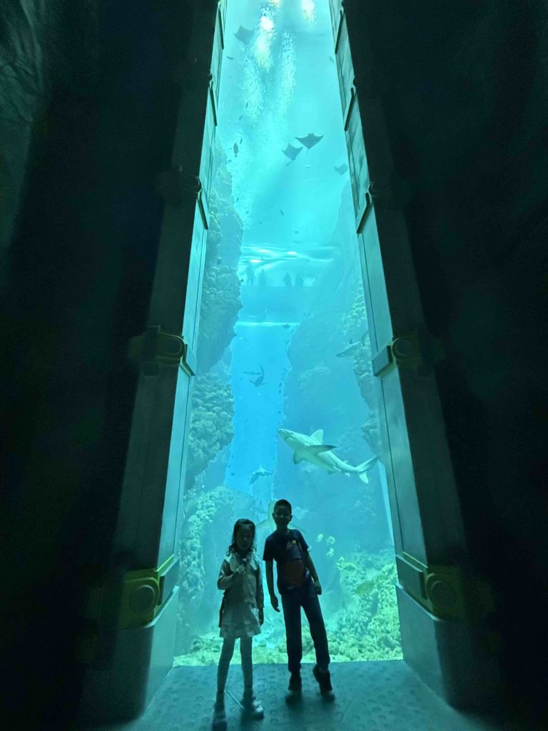 At Yas Island, Seaworld!