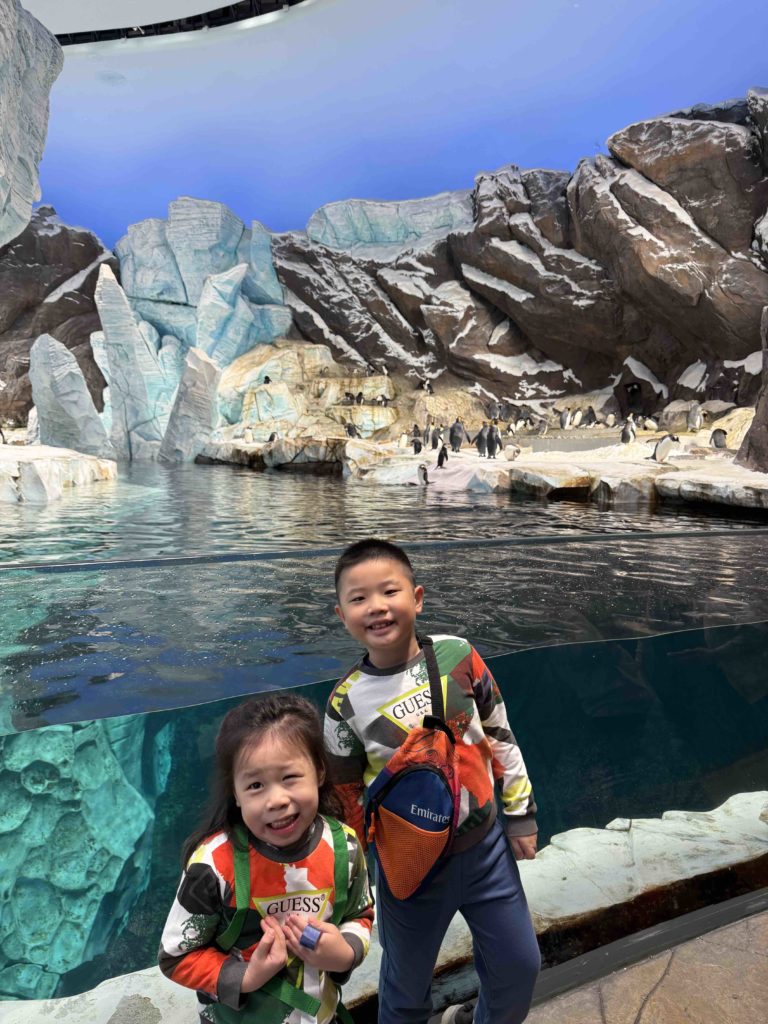 At Yas Island, Seaworld!