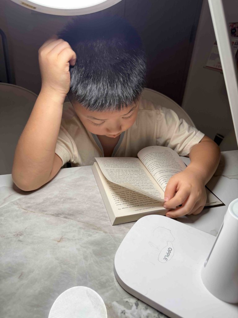 Started reading the first Harry Potter...