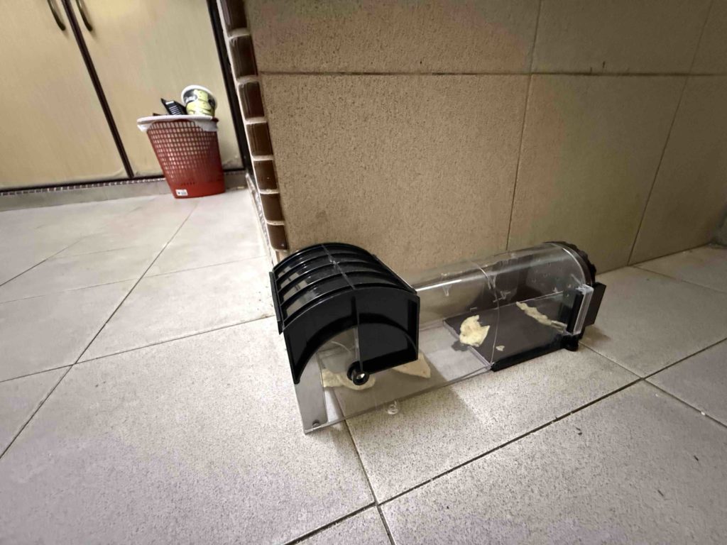 Mouse Trap!