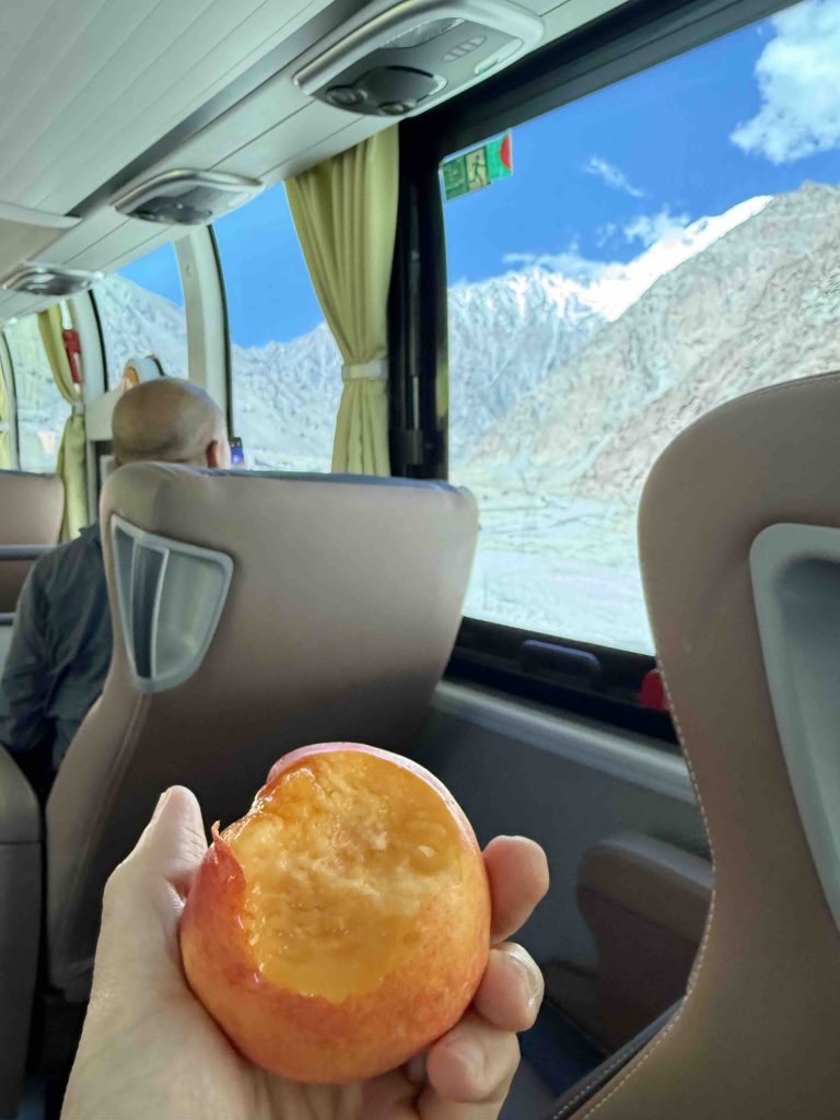 Mountain view and eating the fruit from the tourguide: 恐龙蛋
