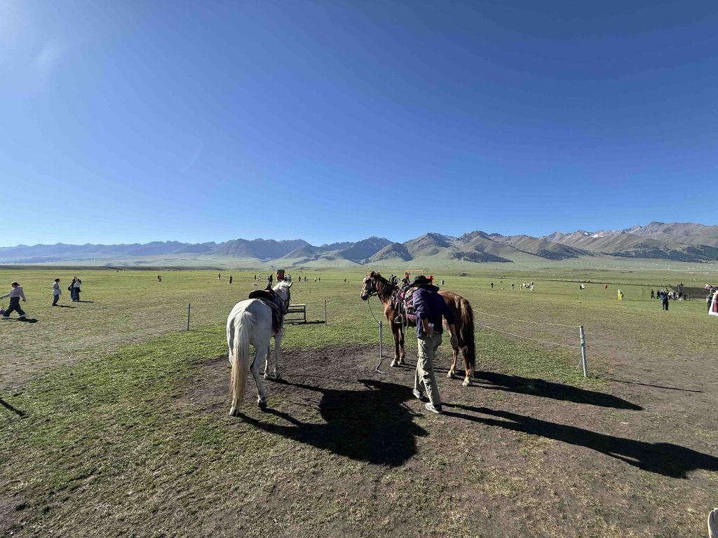 Horses in the mountains!