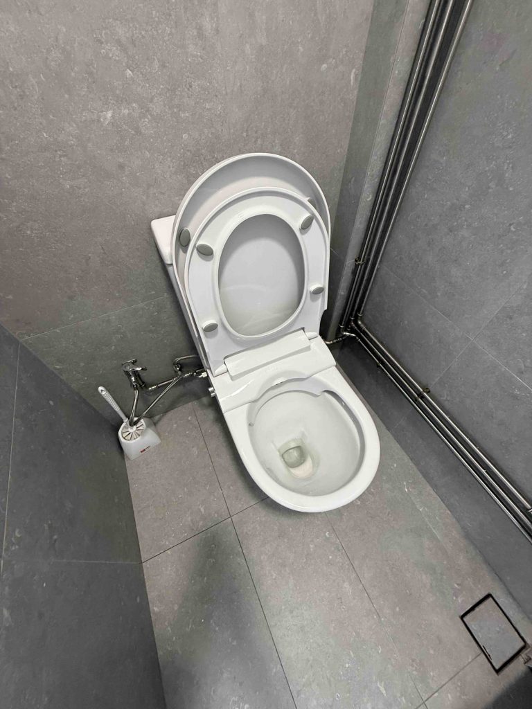 Clean the toilet...